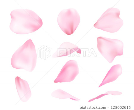 Blossom sakura realistic falling petals 128002615