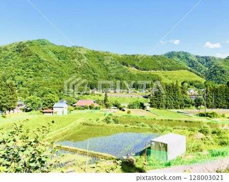 寧靜的景觀,綠樹成蔭 寧靜的景觀,綠樹成蔭 128003021