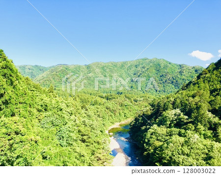 A beautiful early summer landscape with fresh greenery and blue skies 128003022