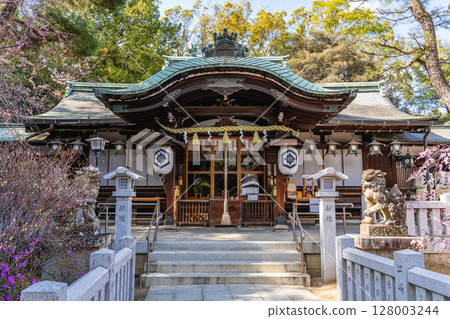 The worship hall of Ashiya Shrine (Tenjin Shrine), where the mountain gods of the Rokko Mountains are worshipped, in Higashi-Ashiyacho, Ashiya City 128003244