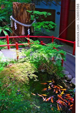 Chichibu Shrine in early summer 128003368