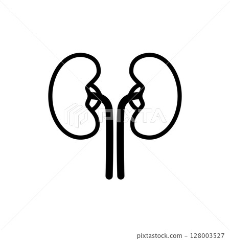 Illustration of human kidneys 128003527