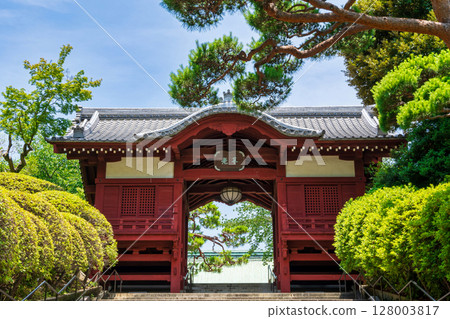 Gokokuji Temple, Tokyo 128003817