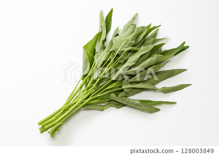Water spinach on white background Water spinach on white background 128003849