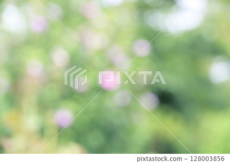 鮮綠 綠色 粉紅色 白色 散景 植物 花 失焦 合成材料 128003856