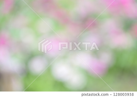 Fresh green Green Pink White Bokeh Plant Flower Out-focus Synthetic material 128003938