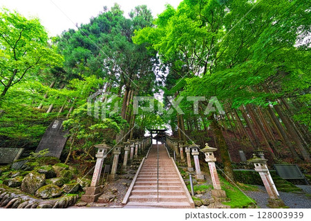 Mitsumine Shrine in early summer Mitsumine Shrine in early summer 128003939