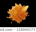 Honey Flower 128004173