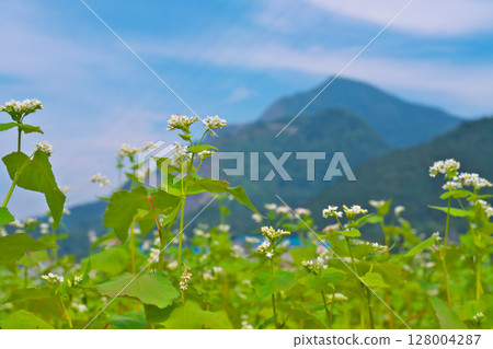 View of Mt. Buko from Chichibu Hanami no Sato 128004287