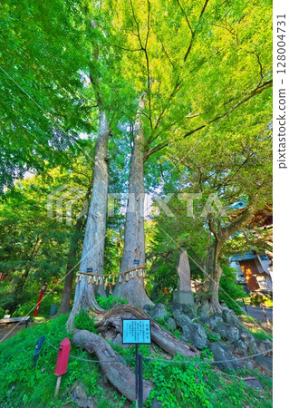 初夏的聖典山 128004731