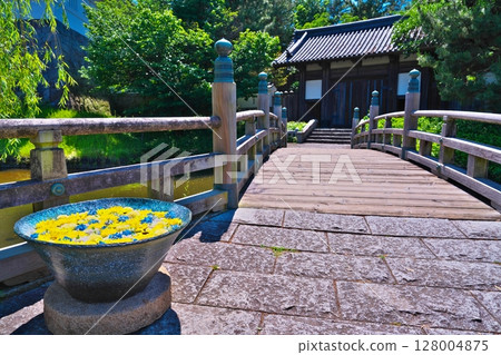 Oshi Castle in early summer 128004875
