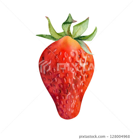 Strawberry ripe fruit with seeds, leaves crown receptacle, garden strasberry pineberry berry. Botanical isolated illustration hand drawn in watercolor. Home preserves cookbook, grocery store food menu Strawberry ripe fruit with seeds, leaves crown receptacle, garden strasberry pineberry berry. Botanical isolated illustration hand drawn in watercolor. Home preserves cookbook, grocery store food menu 128004968