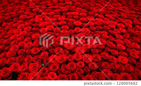 A vibrant red rose floral pattern with hearts creates a romantic illustration, perfect for a Valentine's Day celebration card or holiday decoration design 128005682