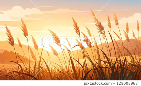Golden wheat field at sunset, with the summer sun casting a warm glow over the natural agricultural landscape 128005968