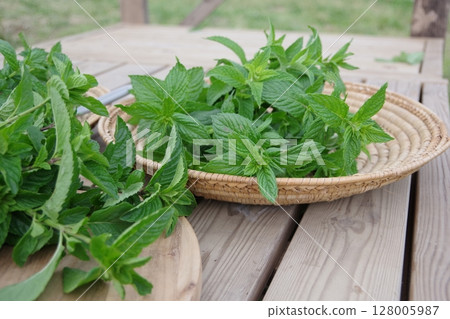Fresh herbs, Cuban mint, mojito, Fresh herbs, Cuban mint, mojito, 128005987