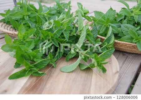 Fresh herbs, Cuban mint, mojito, 128006006