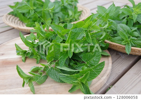 Fresh herbs, Cuban mint, mojito, 128006058