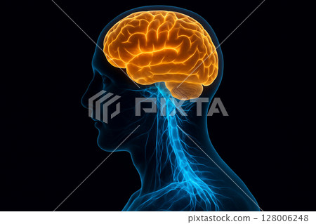 AI generated image of a translucent human head and spine in profile view with glowing orange brain and blue neural pathways illustrating biological energy and futuristic connectivity AI generated image of a translucent human head and spine in profile view with glowing orange brain and blue neural pathways illustrating biological energy and futuristic connectivity 128006248