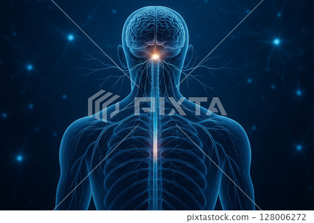 AI generated 3D medical illustration showing human nervous system from back view highlighting brain spinal cord and peripheral nerves with glowing blue connections in a sci fi style background AI generated 3D medical illustration showing human nervous system from back view highlighting brain spinal cord and peripheral nerves with glowing blue connections in a sci fi style background 128006272