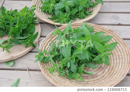 Fresh herbs, spearmint, mint, fresh herbs 128006715