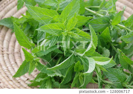 Fresh herbs, spearmint, mint, fresh herbs 128006717