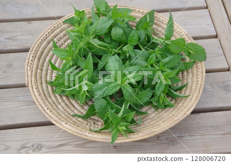 Fresh herbs, spearmint, mint, fresh herbs 128006720
