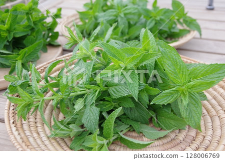 Fresh, herbs, herb garden, spearmint, 128006769