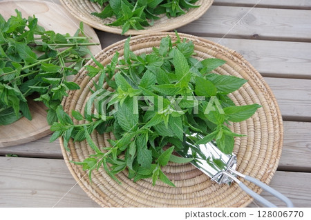 Fresh, herbs, herb garden, spearmint, 128006770