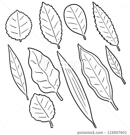 vector set of leaf 128007601