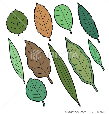 vector set of leaf 128007602