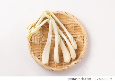 Shallot 128009026