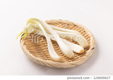 Shallot Shallot 128009027
