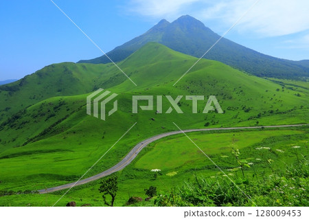 由布山的新綠（布市由布院町） 128009453