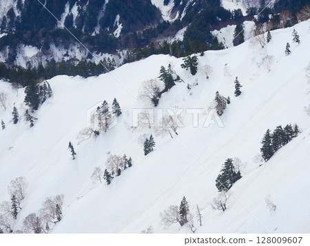 旅遊景點立山黑部阿爾卑斯山脈路線的雪山風景 128009607