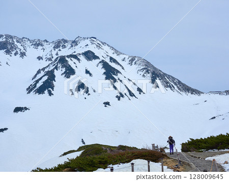 Snow fields and tourists at Murodo on the tourist spot Tateyama Kurobe Alpine Route Snow fields and tourists at Murodo on the tourist spot Tateyama Kurobe Alpine Route 128009645
