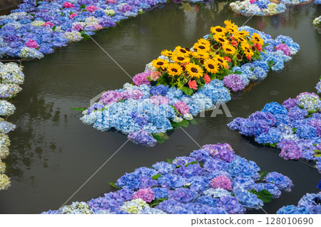 繡球池 繡球藝術開成繡球節 128010690