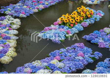 繡球池 繡球藝術開成繡球節 128010691