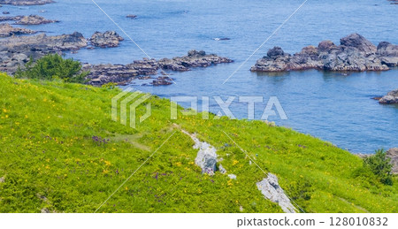 Aerial view of the flower-filled cape of Aomori Prefecture, Tanesashi Coast Aerial view of the flower-filled cape of Aomori Prefecture, Tanesashi Coast 128010832