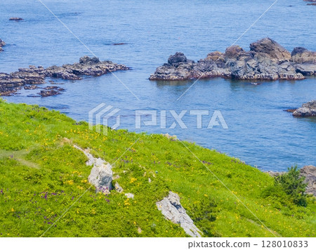 Aerial view of the flower-filled cape of Aomori Prefecture, Tanesashi Coast Aerial view of the flower-filled cape of Aomori Prefecture, Tanesashi Coast 128010833