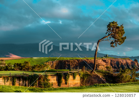 Pebble Beach golf course, Monterey, California, usa 128010857