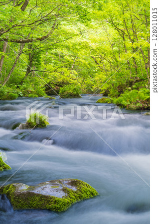 青森縣 十和田市 初夏的奧入瀨溪谷風景 128011015