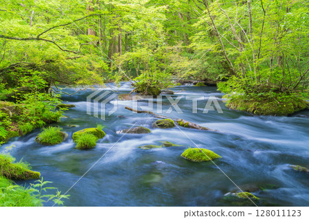 "Aomori Prefecture" Scenery of the Oirase Gorge in early summer, Towada City 128011123