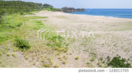 "Aomori Prefecture" Flowering Osuka Coast, Tanesashi Coast, Hachinohe City 128011705