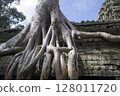 Ta Prohm Ruins 128011720