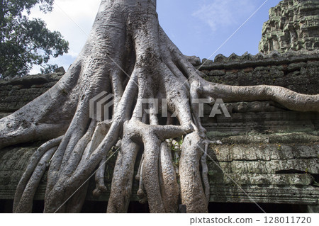 塔普倫廢墟 塔普倫廢墟 128011720