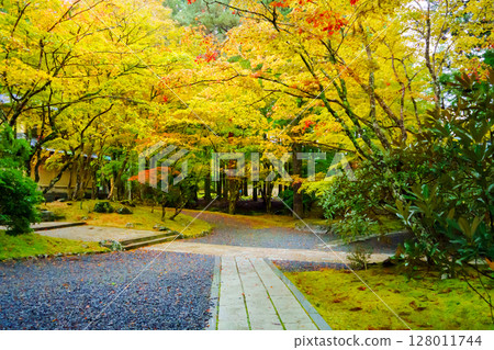 Koyasan Reihokan Museum surrounded by autumn leaves 128011744