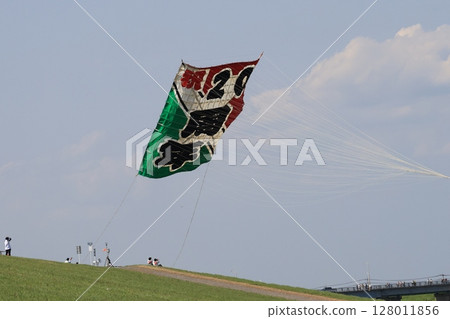 A scene of large kite flying in Kasukabe City, Saitama Prefecture A scene of large kite flying in Kasukabe City, Saitama Prefecture 128011856