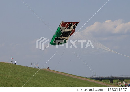 A scene of large kite flying in Kasukabe City, Saitama Prefecture A scene of large kite flying in Kasukabe City, Saitama Prefecture 128011857