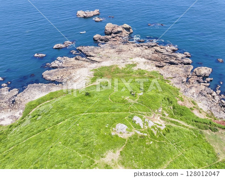 Aerial view of the Tanesashi Coast in early summer in Aomori Prefecture, Hachinohe City 128012047