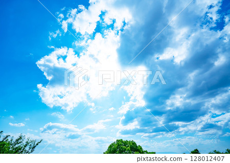 藍天，白雲和樹林 128012407